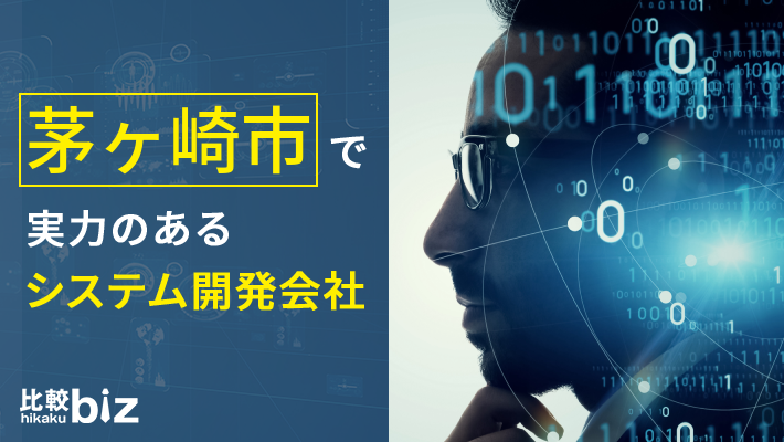 茅ヶ崎市のおすすめシステム開発2社を徹底比較 茅ヶ崎市でwebシステム開発を探すなら 比較ビズ