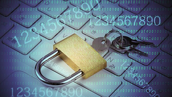 脆弱性診断におすすめのセキュリティ会社30選！選ぶポイントや …